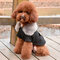 Pet Dog Coat Jacket With Fur Winter Pet Clothing for Small Medium Size Dog - Black
