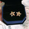 Flor de concha de plata de ley 925 Mujer Gota Pendientes Moda Colorful Perno de estrella de diamantes de imitación Pendientes - do