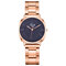 Simple Casual Women Wristwatch Rose Gold Band Large Three-Hand Dial Quartz Watches - Black