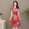 Women's Slim Large Size Fashion V-neck Temperament Mesh Print Dress - Red