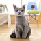 19.7インチソフトアニマルクッション面白い猫枕猫のおもちゃクリエイティブシミュレーション猫枕 - ＃2
