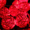 Le luci della stringa della sfera del festival del giardino della festa nuziale del Rattan 20LED - Rosso