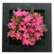 3D Beauty Creative Plant Frame Wall Art Decoration Artificial Flower Home Decoration - #5