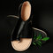 Plus Size Women Casual Comfy Splicing Buckle Clip Toe Sandals - Black