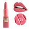 18 Colors Matte Lipstick Long Lasting Lip Stick Velvet Lip Makeup For Lip Beauty Comestic - 47