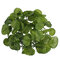 6.56ft Artificial Ivy Leaf Garland Plants Vine Foliage Flower Home Garden Decor - #1