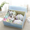 Baumwoll-Unterwäsche-Aufbewahrungsbox Organizer Mehrfach zusammenklappbare BH-Unterwäsche-Socken-Aufbewahrungsbox - Blau