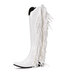Large Size Women Casual Tassel Design Comfy Mid-Calf Pointed Toe White Cowboy Boots - White