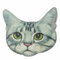 دبابيس بروش أكريليك Cat Badge   - #5