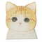 Acrylic Cat Badge Brooch Pins   - #11