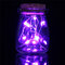 Romantic Xmas 10 LED Colours Seed Vase Lights Wedding Centrepiece Fairy Lights Home Decor - Purple