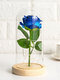 Creative Glass Cover Lighting Forever-lasting Enchanted Love Rose Eternal Flower Mother's Day Christmas Valentine's Day Gift - Blue