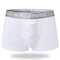 Sexy Hole Breathable Mesh Pouch Separation Physiological  Health Care Boxers for Men - White