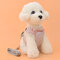 Pet Strap Leash Dog Small Dog Vest-Style Bow Evening Dress Chest Strap Dog And Cat Universal - #3