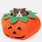 Halloween Pumpkin Dog Dress Up Multifunctional Dog Collar Pet Cat Party Transformation Costume - Orange