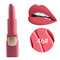 18 Colors Matte Lipstick Long Lasting Lip Stick Velvet Lip Makeup For Lip Beauty Comestic - 46