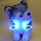 Dog LED  Adjustable Personalised Collar Polyester Pet Light-up Flashing Glow Safety  - Blue