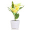 Lâmpada de jardim LED com energia solar Lily Flower Stake jardim decoração ao ar livre com paisagem - Amarelo