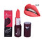 HABIBI BEAUTY Matte Lipstick Long Lasting Waterproof Brown Sexy Dark Red Lipsticks  - 01