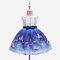 Cartoon Print Toddlers Girls Sleeveless Pageant Princess Party Tulle Dress For 3-11Y - Blue