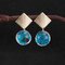 Elegant Forever Flower Earrings Glass Ball Dry Flower Drop Earrings Timer Women Jewelry - Blue