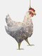 1 pc acrílico lenço iluminado de natal e decoração de frango na árvore de natal enfeite pendurado - #04