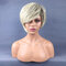 30cm Female Synthetic Wigs Gradient Color Straight Hair Rose Wig Set  Short Wigs Artificial Hair - 01