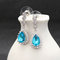 JASSY® Zircon Crystal Dangle Earrings 12 Months Birthstone Birthday Stone Earrings for Women - December