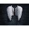 <US Instock>Angel Wings Painting Unframed Fashion Abstract Wall Art Living Room Bedroom Decor Canvas - #1