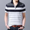  Men's Short-sleeved T-shirt Striped Shirt Collar Half-sleeved T-shirt Casual Shirt - 1561-8612 gray
