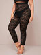 Tight Lace High Waist Plus Size Sexy Pants for Women - Black