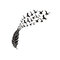 Vatican Carved Wall Stickers Creative Feather Bird Home Decoration Wall Stickers Home Decoration - Black