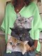 Women Cat Print Long Sleeve Loose Casual Blouse - Green
