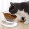 وعاء مزدوج للقطط مع حامل مرتفع ، مغذيات قطط مائلة بزاوية 15 درجة ، أوعية طعام وماء ، لتقليل آلام الرقبة للقطط والكلاب الصغيرة - #5