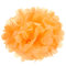 Wedding Partyfestival Decoration Tissue Paper Pompoms Ball-flower - Orange