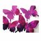 12PCS 5 Colors 3D Mirror Surface Butterfly Art Applique Fridge Magnet Wall Sticker - Purple