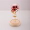 Valentine's Day Gift Decorations Enchanted Preserved Red Fresh Rose Glass Cover + LED Light - #6
