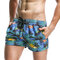 Fashion Hawaiian Sexy Printing Quick Dry Breathable Sports Board Shorts for Men - #02