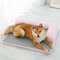 Memory Cotton Pet Bed Cat Mat Removable And Washable Kennel Medium  Large Dog Cat Bed Dog Nest - #4