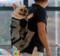 Pet Shoulder Traveler Backpack Dog Outcrop Ventilation Breathable Washable Bicycle Outdoor Backpack - Gray