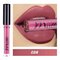 Matte Lip Gloss Lipstick Velvet Lip Glaze Non-Stick Cup Waterproof Lipstick Lip Makeup - 08