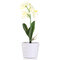 3LED Phalaenopsis com energia solar flor estaca jardim quintal luz paisagem decoração ao ar livre - Branco