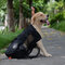 الحيوانات الأليفة الكتف المسافر على ظهره الكلب نتوء التهوية تنفس قابل للغسل دراجة في الهواء الطلق على ظهره - أسود