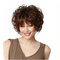 Rose Net Synthetic Wigs Short Curly Hair Wigs Blonde Full Fringe European American Women Hair Set - 01