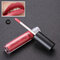 LIYADA Waterproof Matte Metallic Lip Gloss Cosmetics Liquid Lipstick Long-lasting Lips - C27