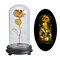 Gold Foil Decoration Flowers Red Golden Eternal Rose with LED Light in Glass Dome Gifts - Gold#1