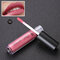 LIYADA Waterproof Matte Metallic Lip Gloss Cosmetics Liquid Lipstick Long-lasting Lips - C25