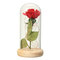 Christmas Decorations Beauty Enchanted Preserved Red Fresh Rose Glass Cover + LED Light - #2