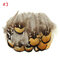 20pcs Assorted Beautiful Natural Pheasant Feathers Cloth Crafts Trimmings Decor - #3