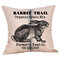 Easter Bunny Sofa Pillow New Hot Sale Cushion Cover - #1